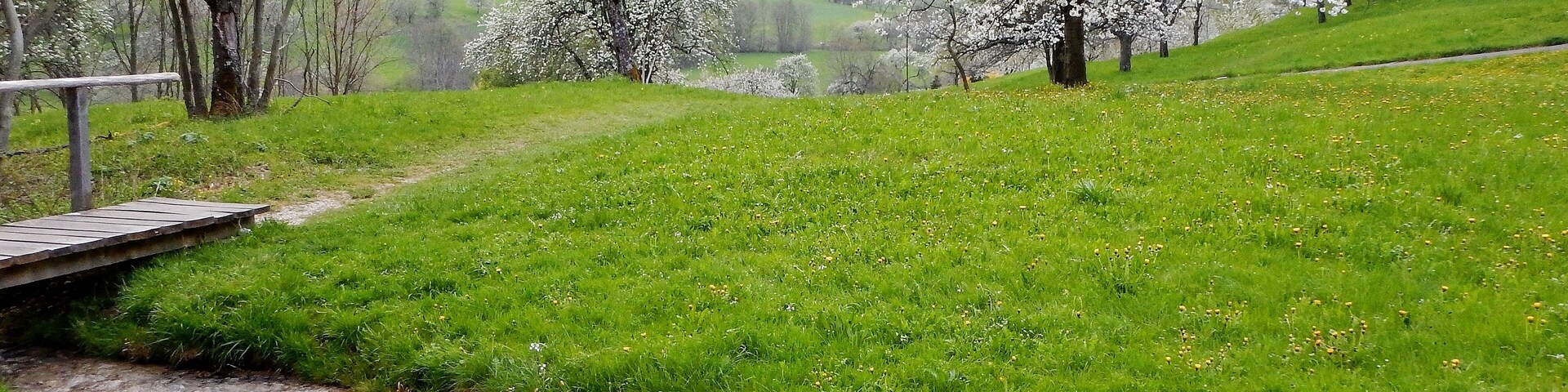 Im April bei Neidlingen in der Nähe des Wasserfalls