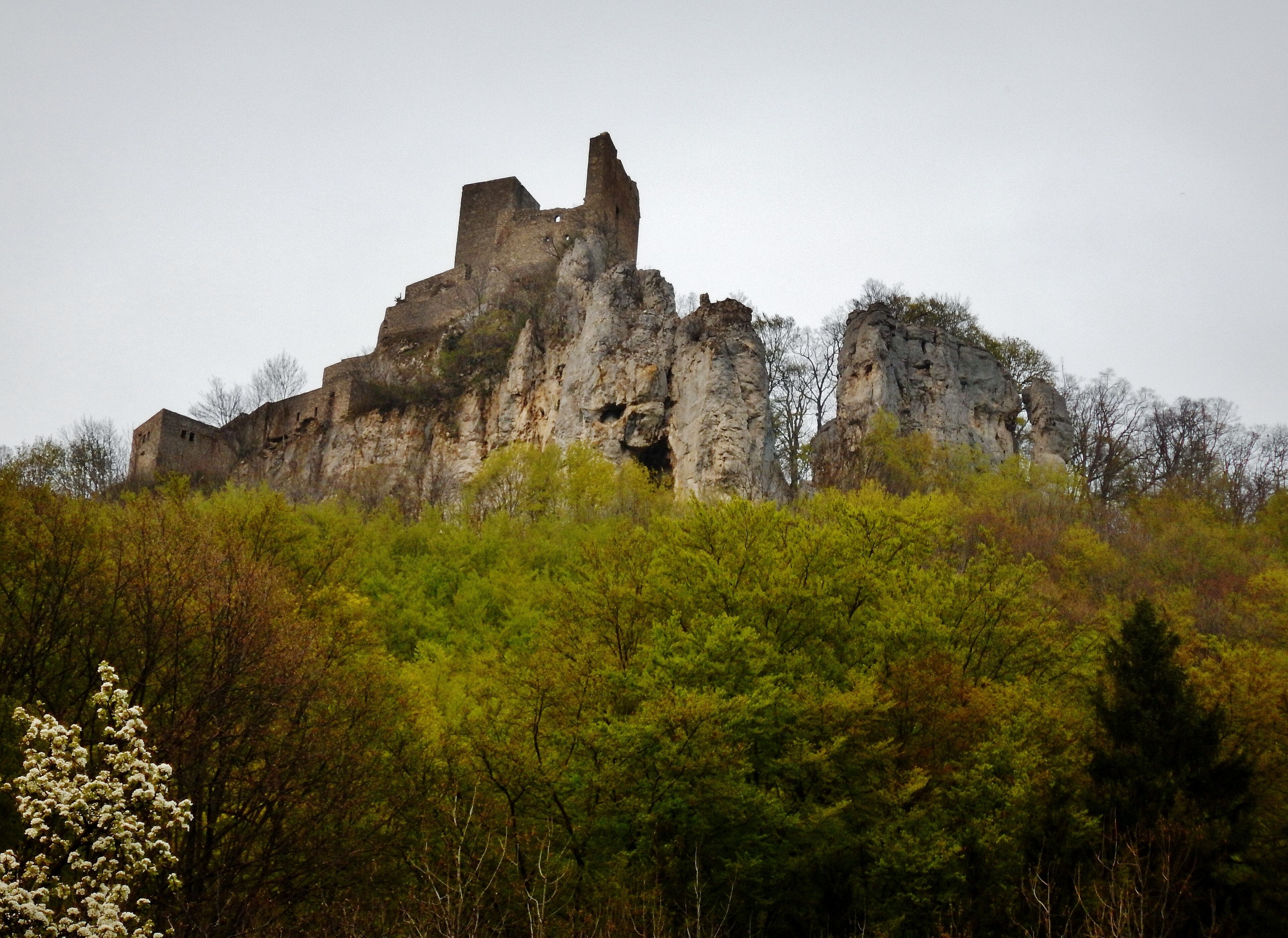 Blick auf die Ruine Reußenstein