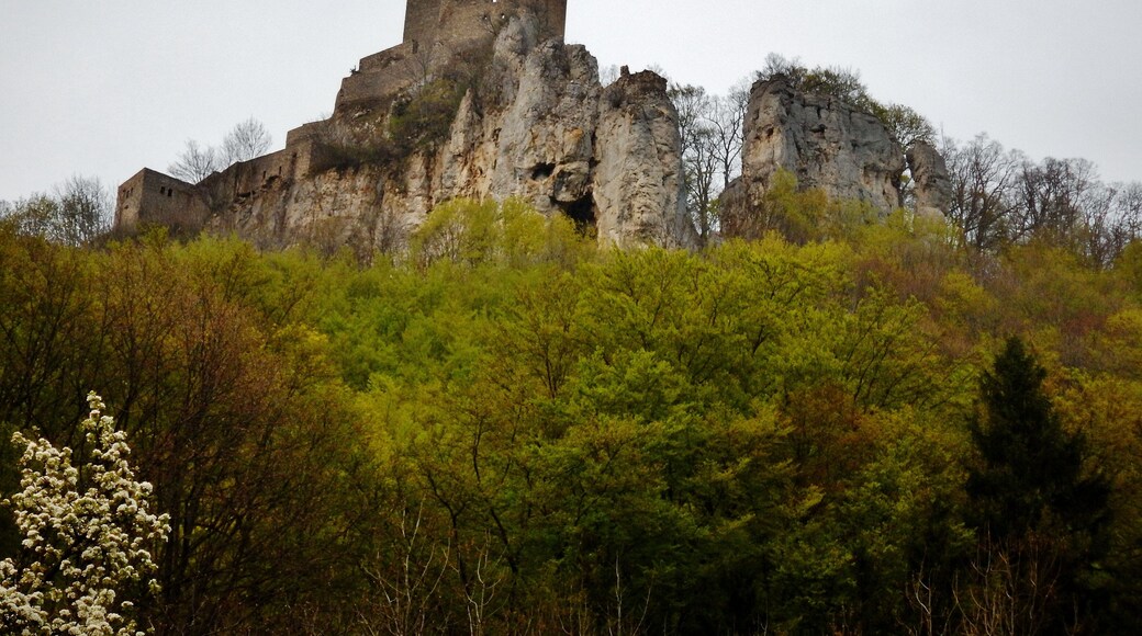 Blick auf die Ruine Reußenstein