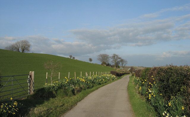 Maesbach Farm lane. Farm lane leading to Maesbach Farm, near Treforest, South Wales.