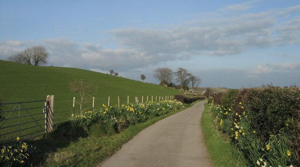 Maesbach Farm lane. Farm lane leading to Maesbach Farm, near Treforest, South Wales.