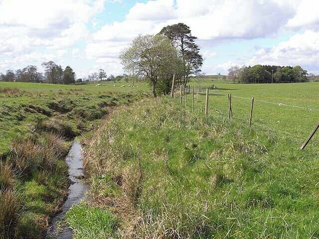 Hallington Burn Seen near Little Bavington, feeds into Hallington Reservoir