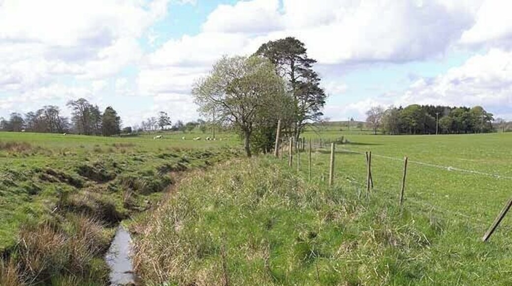 Hallington Burn Seen near Little Bavington, feeds into Hallington Reservoir