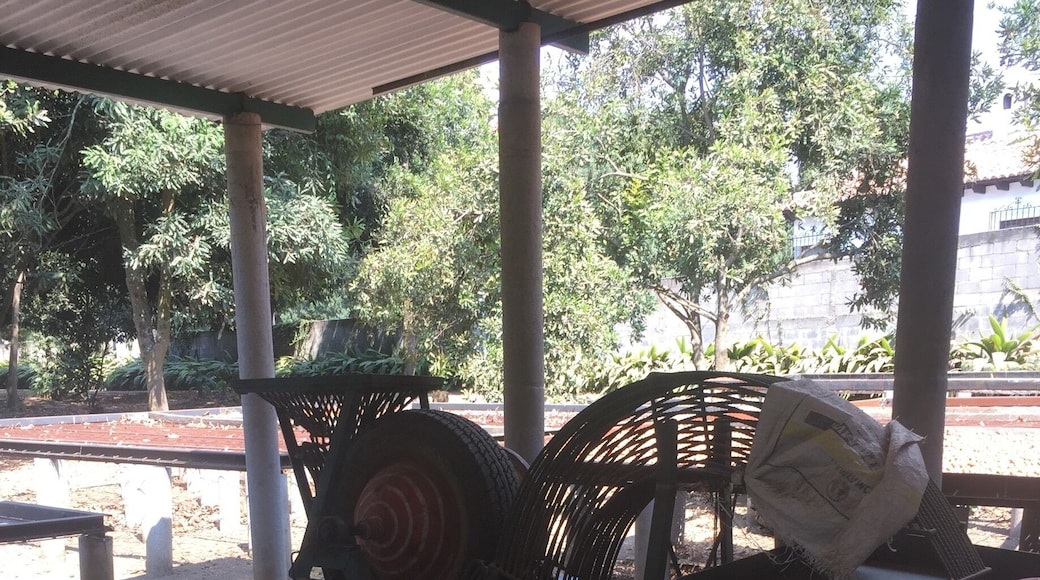 Macadamia nut farm just outside Antigua, Guatemala. This machine is used to separate nuts from the shells