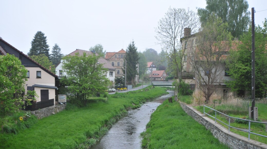 The making of this work was supported by Wikimedia Austria. For other files made with the support of Wikimedia Austria, please see the category Supported by Wikimedia Österreich.