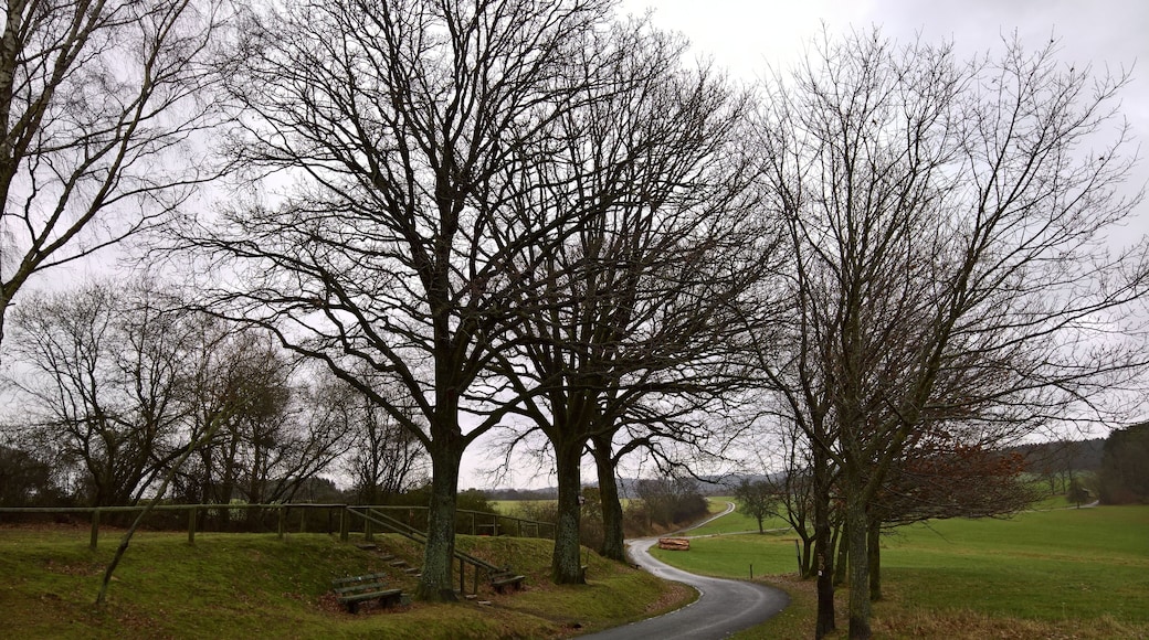 Die Drei Eichen in Momart: Naturdenkmale