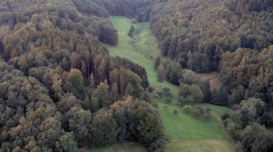 Das Tal des Affhöllerbachs bei Böllstein