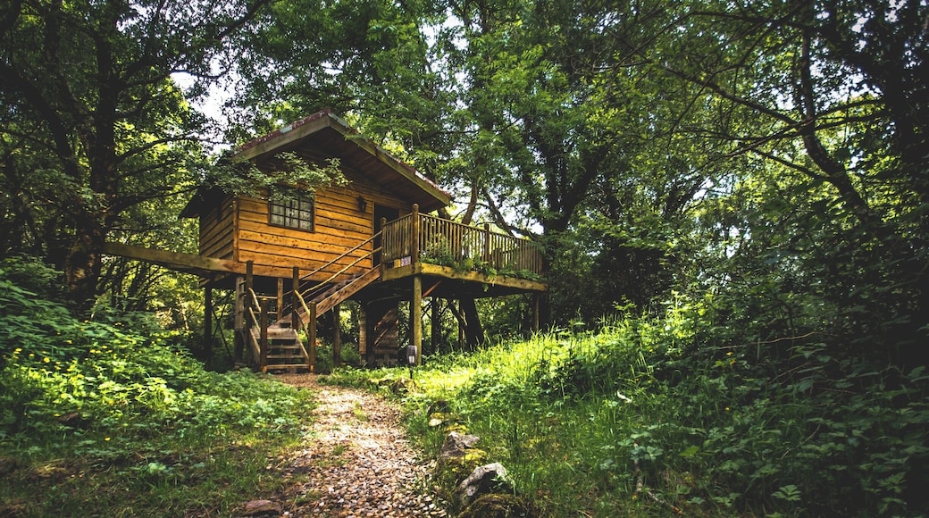 Tucked away in 5 acres of woodlands this place is a hidden gem!