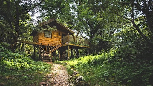 Tucked away in 5 acres of woodlands this place is a hidden gem!