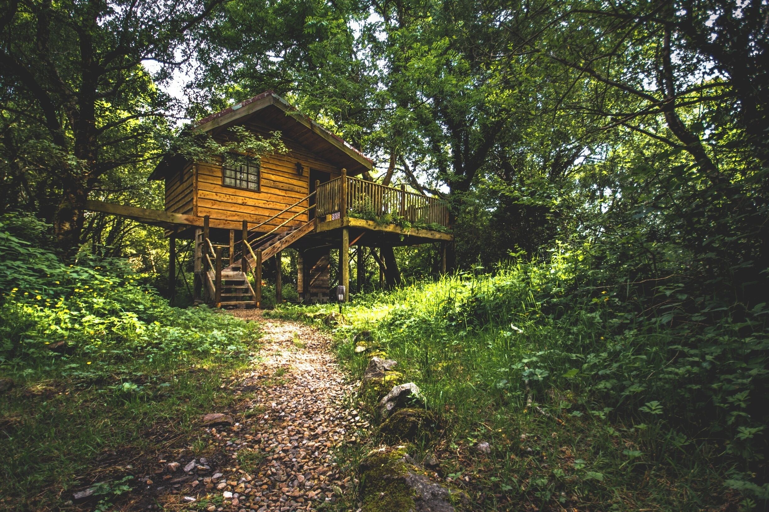 A wooden cabin on stilts surrounded by dense forest.