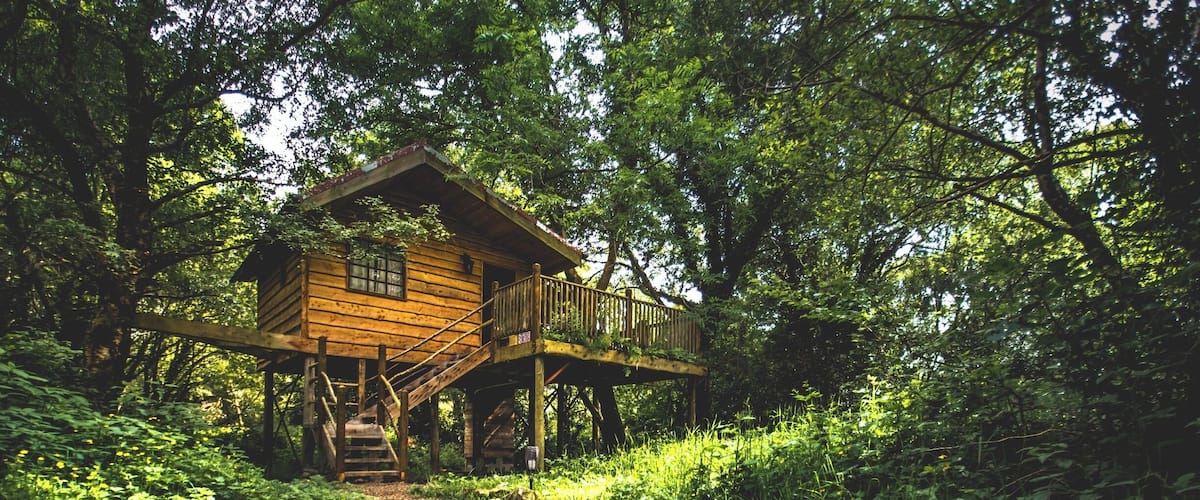 A wooden cabin on stilts surrounded by dense forest.