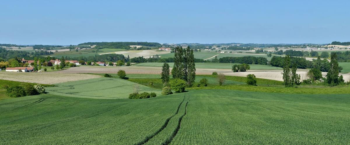 Rolling green fields, scattered trees, and distant buildings.