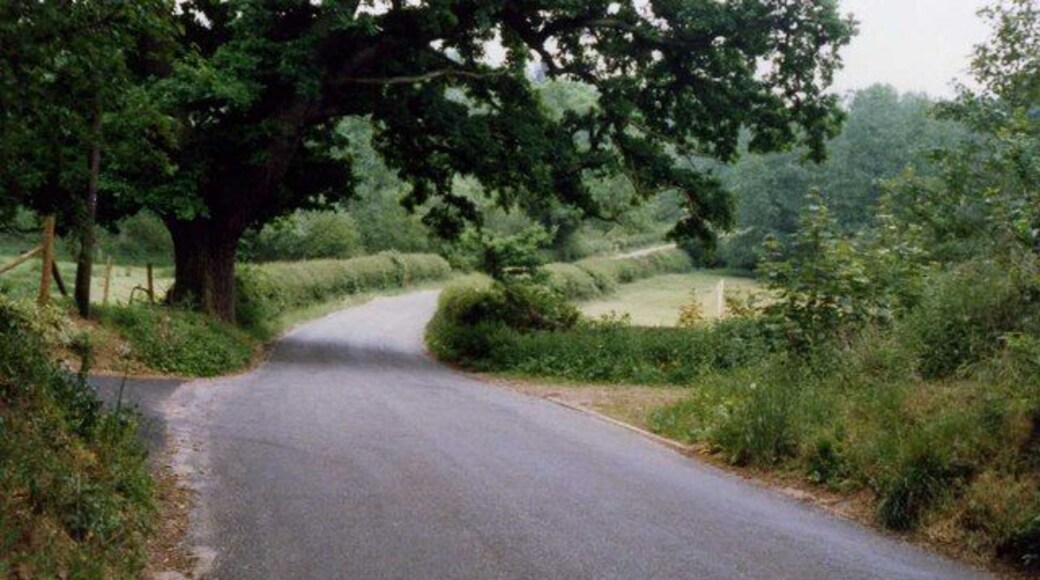 Bealings Road, Kesgrave Looking down road near entrance to what was Kesgrave Hall School's cricket pitch and athletics field from 1976 to 1986 before being dug up as a quarry.