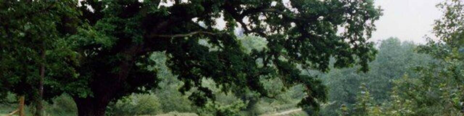 Bealings Road, Kesgrave Looking down road near entrance to what was Kesgrave Hall School's cricket pitch and athletics field from 1976 to 1986 before being dug up as a quarry.