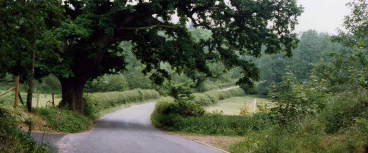 A narrow rural road curving through a green landscape with hedgerows and trees.