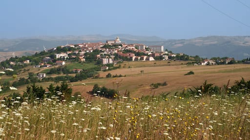Monteleone di Puglia