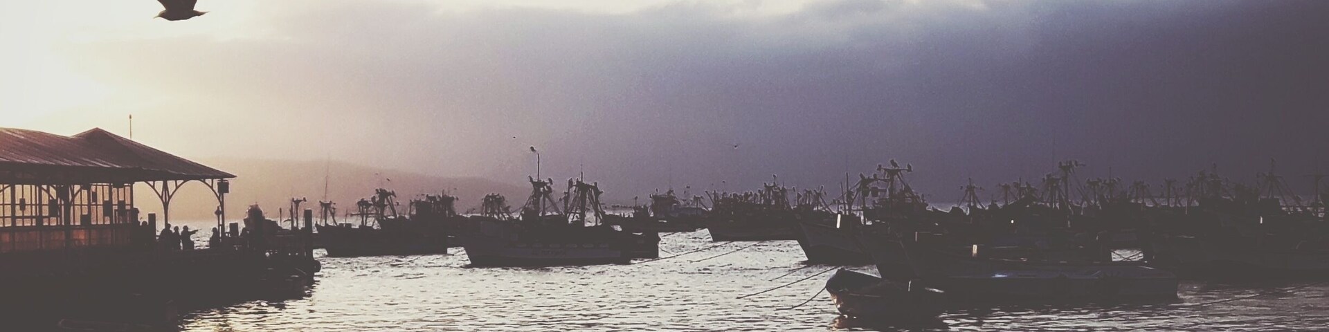 A harbor with boats and a pier.