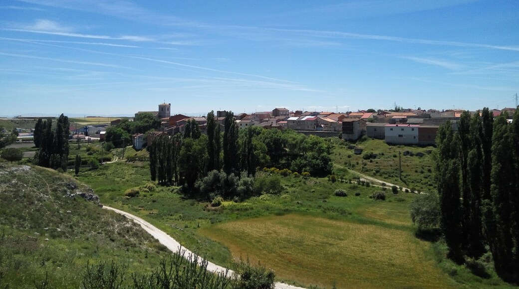 Vista de parte del pueblo y la torre de la iglesia de Cogeces del Monte
