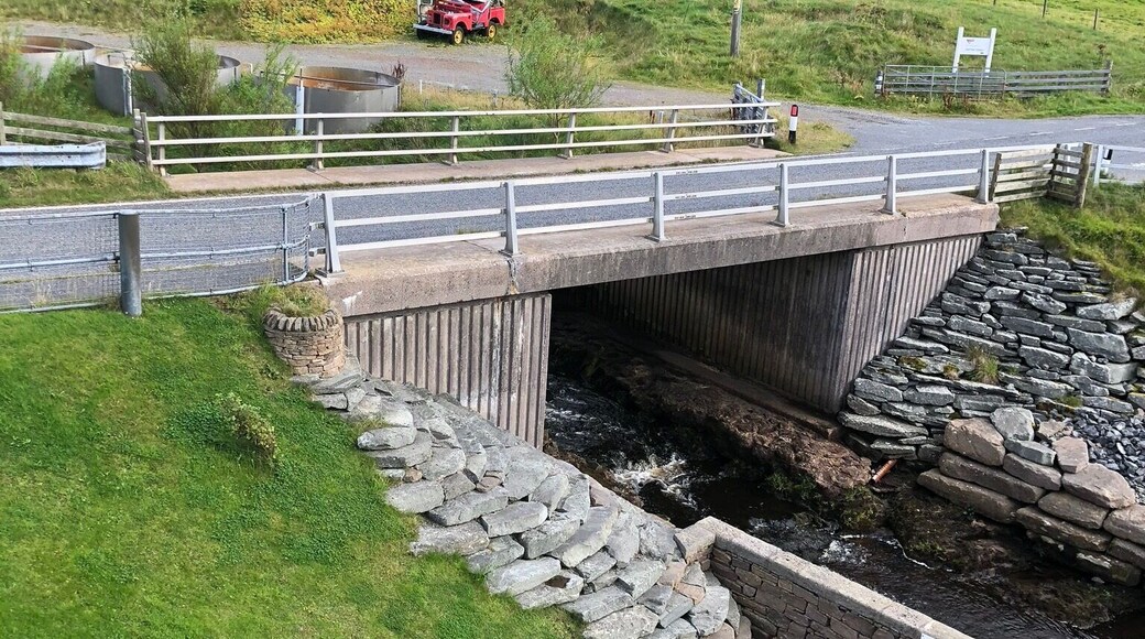 The babbling stream.