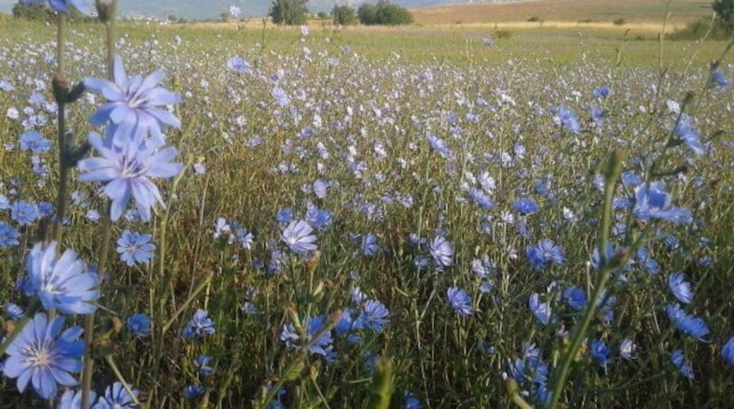 Il monte Tino visto da Collarmele