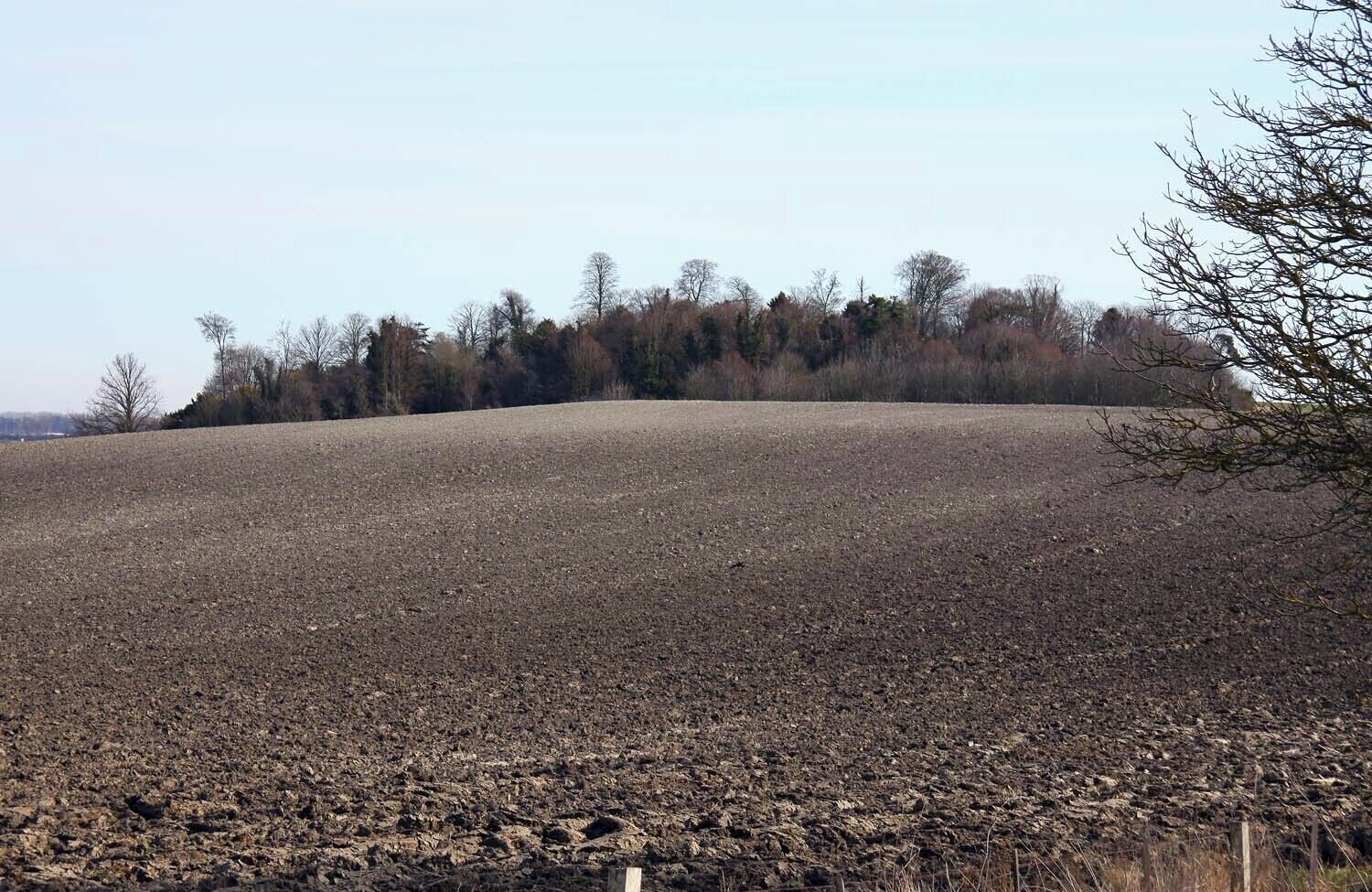 A plowed field with a forest in the background.
