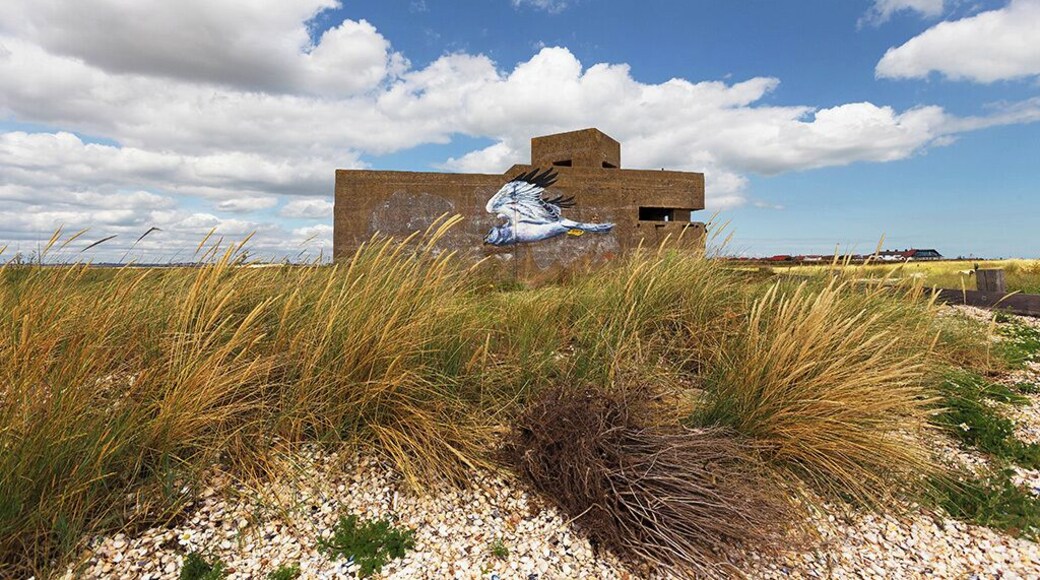 Here's a shot of a WWII EXDO defence post that is located on the eastern tip of the Isle of Sheppey at Shellness. This great piece of art that someone must have taken ages to paint on lent itself to this shot.
#abandoned #graffiti #beach