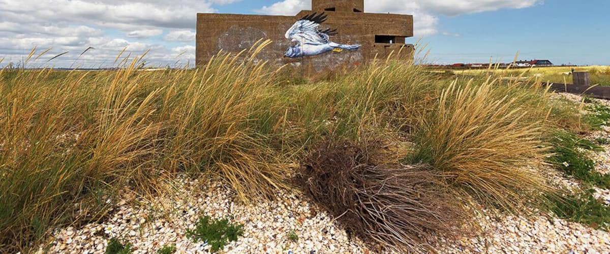Here's a shot of a WWII EXDO defence post that is located on the eastern tip of the Isle of Sheppey at Shellness. This great piece of art that someone must have taken ages to paint on lent itself to this shot.
#abandoned #graffiti #beach