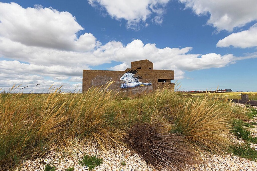 Here's a shot of a WWII EXDO defence post that is located on the eastern tip of the Isle of Sheppey at Shellness. This great piece of art that someone must have taken ages to paint on lent itself to this shot.
#abandoned #graffiti #beach