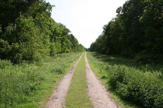 Southrey Wood Track through Southrey Wood