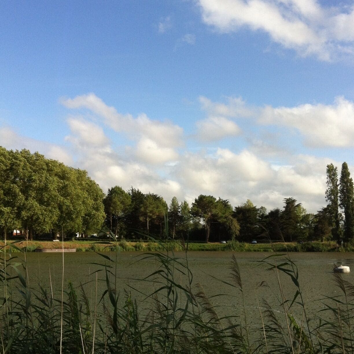 Loire river le pellerin