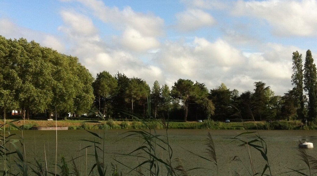 Loire river le pellerin