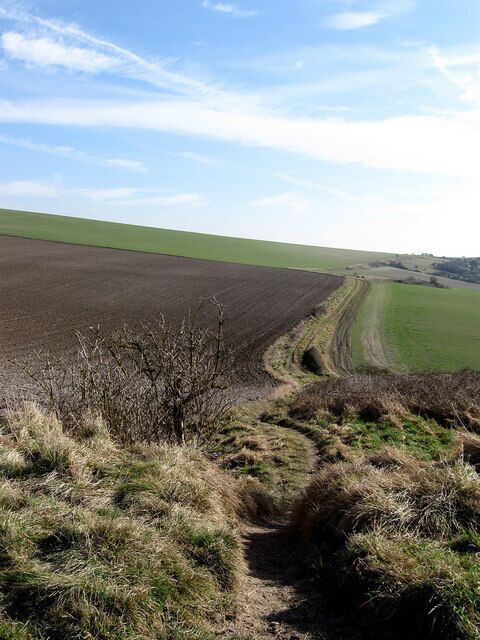 A plowed field, a dirt path, and rolling hills under a clear sky.