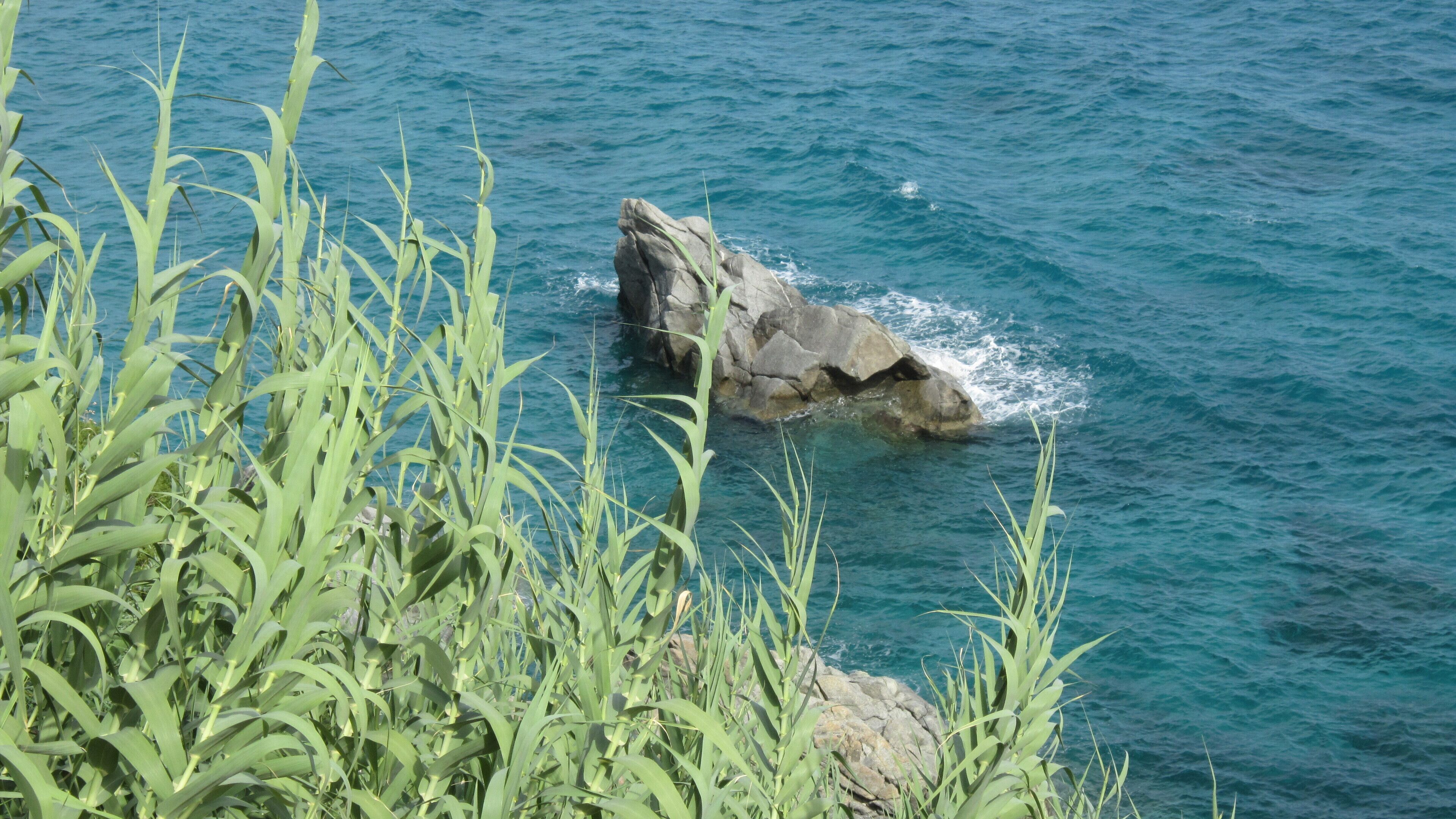 Pietragrande - Canne al vento