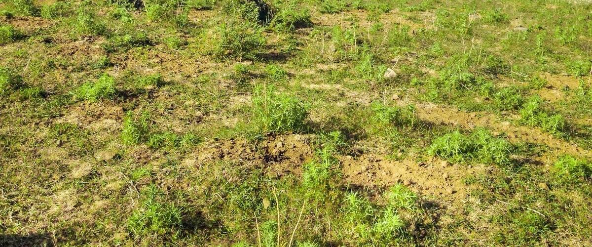 Wonderful place
#blue