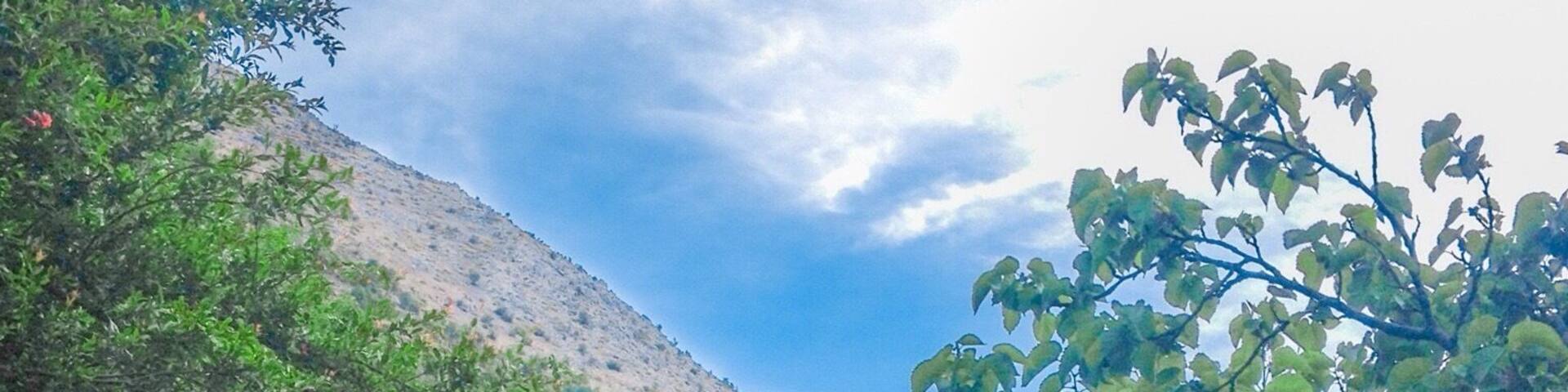 Road heading to the farmland
#Roadtrip