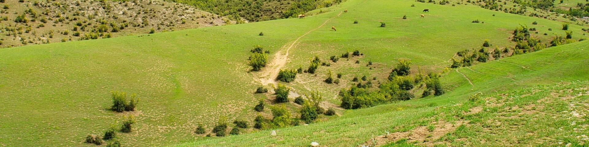 Panorama landscape with green fields under clouds. Tovuz, Azerbaijan