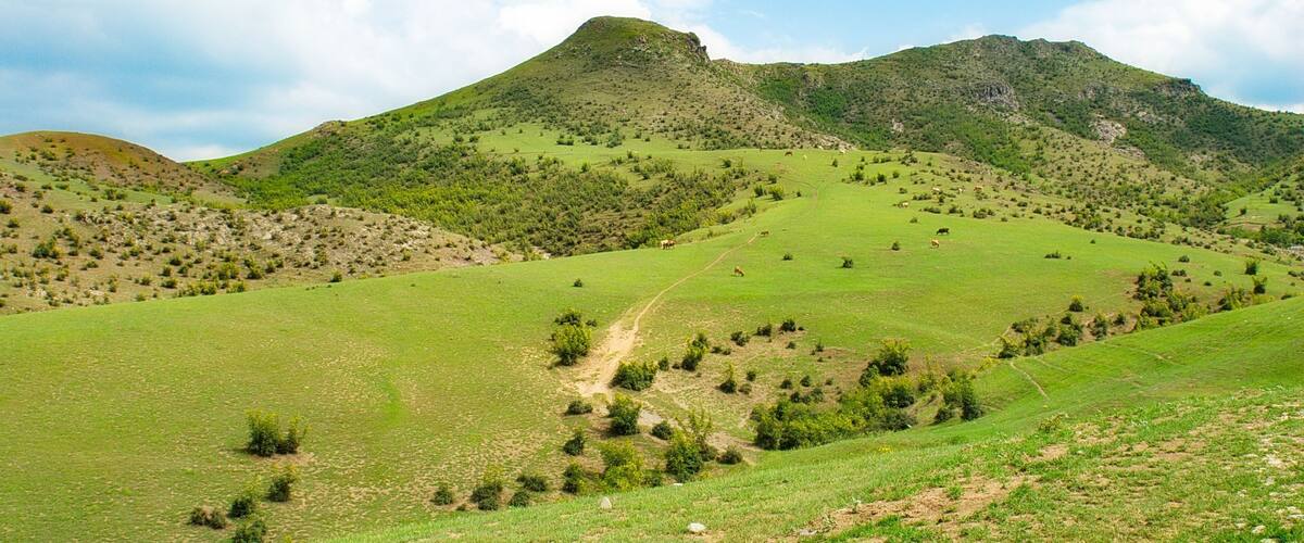 A green valley with scattered trees and a mountain range in the background.
