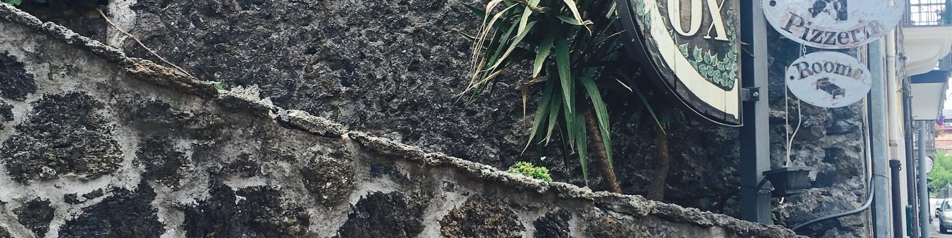 Delicious food and wine with expert guidance of the owner who radiates with the kind of Italian kindness you read about and hoped wasn't just a myth! Wonderful place for lunch! I've also read that at night it's a pizzeria to die for, will have to return 😘