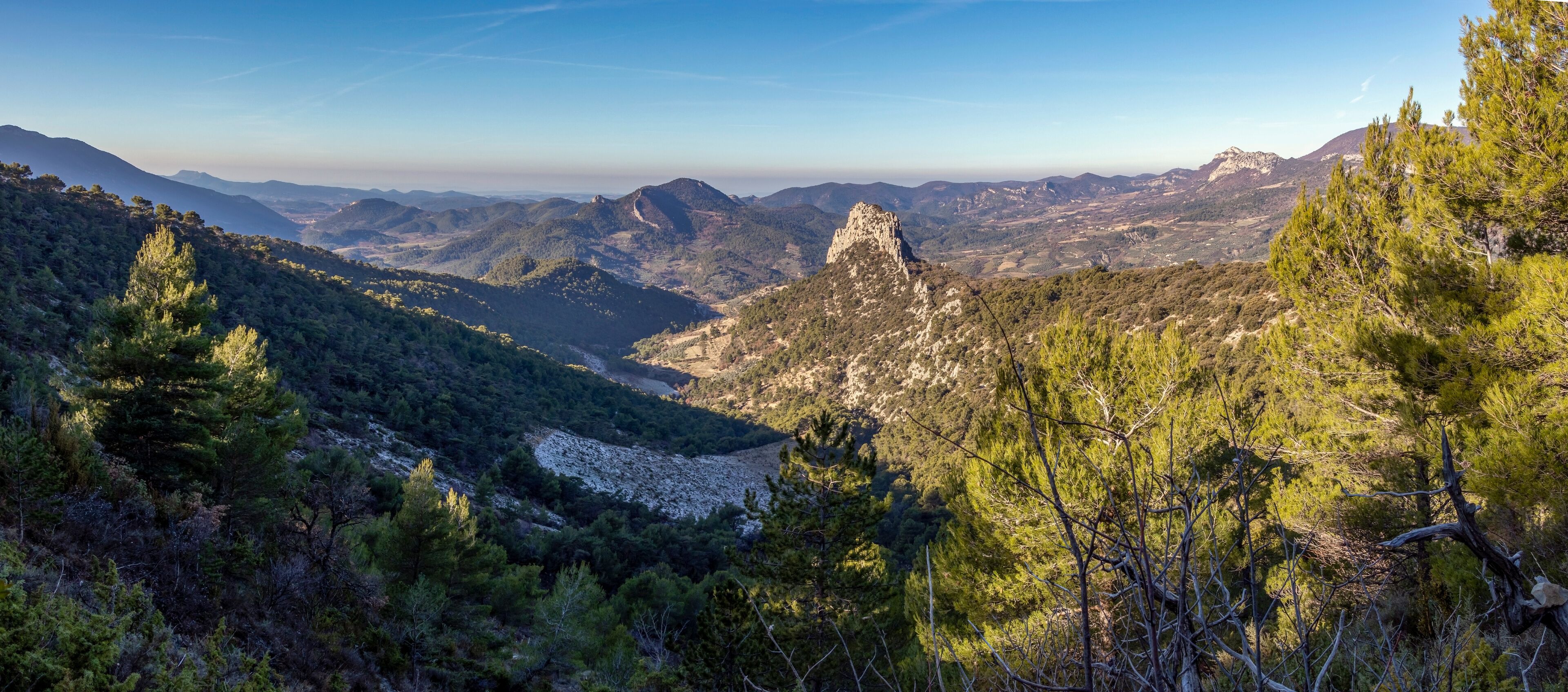 A mountainous landscape with dense pine forests and a prominent rocky peak.