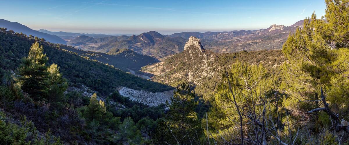 A mountainous landscape with dense pine forests and a prominent rocky peak.