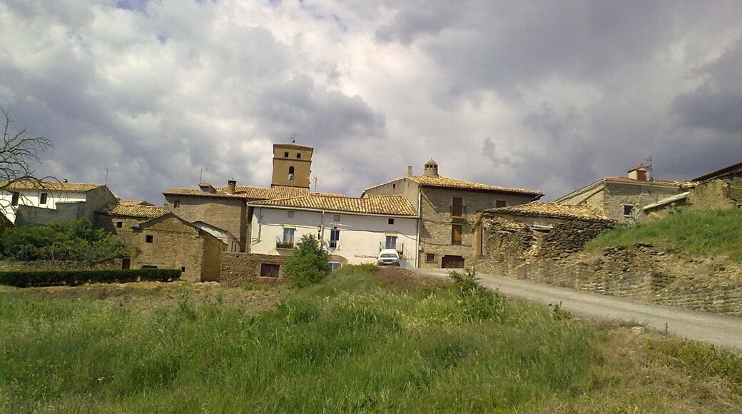 Undués-Pintano le 23 mai 2010. Espagne.