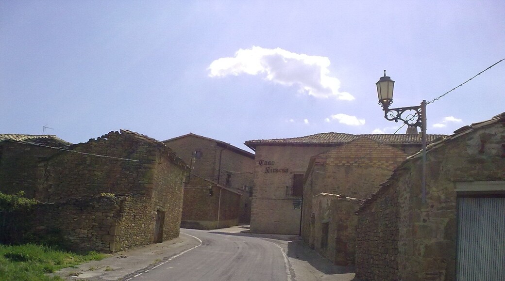 Undués-Pintano le 23 mai 2010. Espagne.