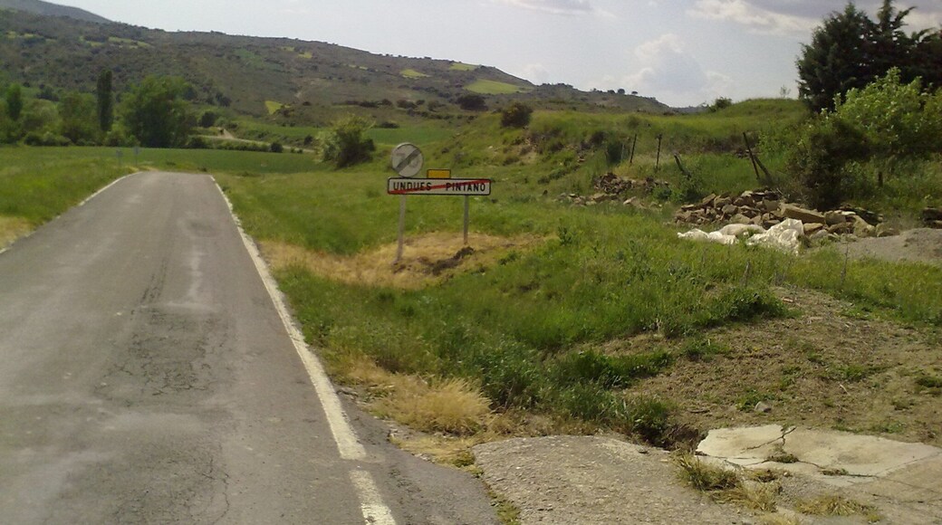 Undués-Pintano le 23 mai 2010. Espagne.