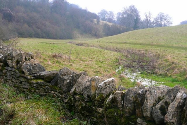The valley bottom. This is a typical upper Thames valley in the Cotswolds. Here it is holding water, but often it does not, as seen in David Collins picture from virtually the same location 311489