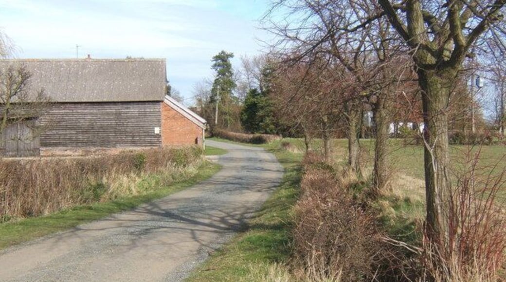 Lane approaching Monks Eleigh Tye from the west
