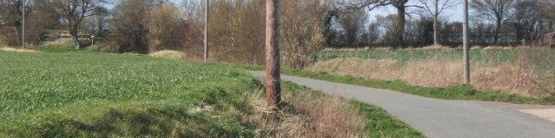 Lane north of Monks Eleigh