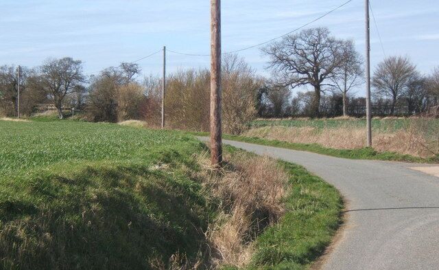 A rural road curving through a field with power lines and trees in the background.