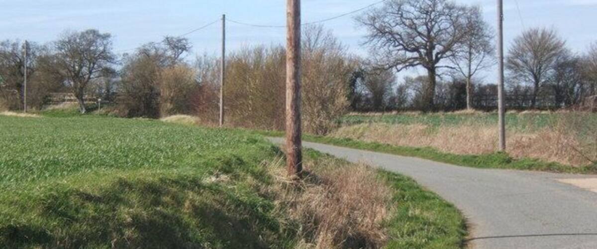 A rural road curving through a field with power lines and trees in the background.
