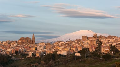 A cityscape with a snow-capped mountain in the background.