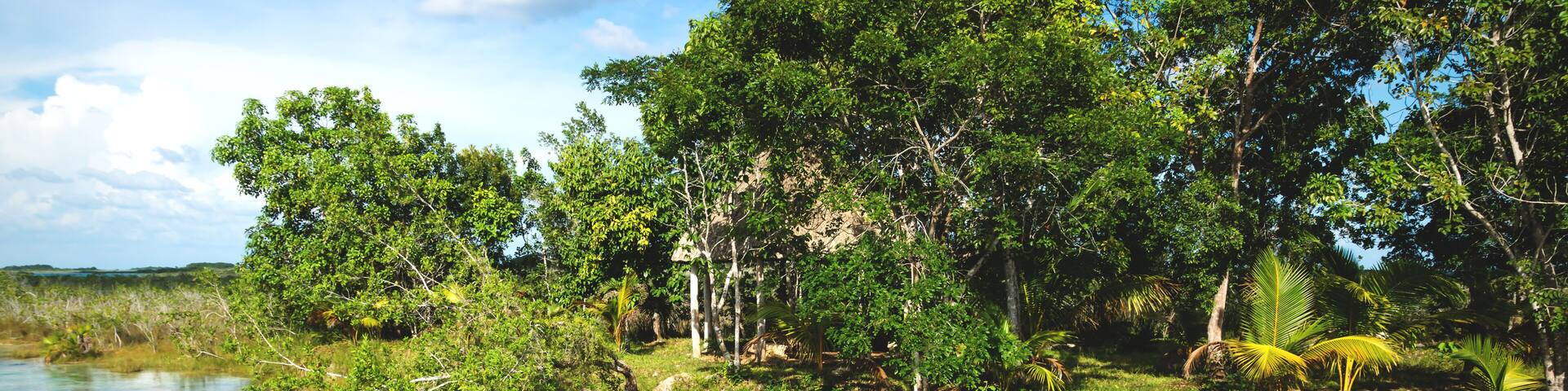 Man in rapids at seven colored lagoon surrounded by tropical plants in Bacalar, Quintana Roo, Mexico